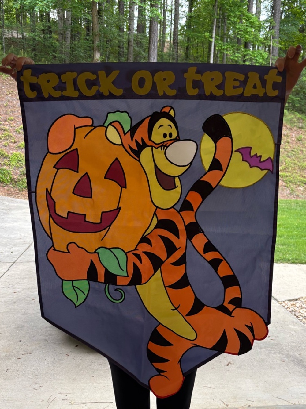 Disney’s Pooh: Tigger Halloween 2000 Vintage Garden Flag